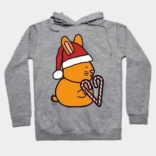 Christmas Bunny Rabbit Candy Cane Heart Hoodie